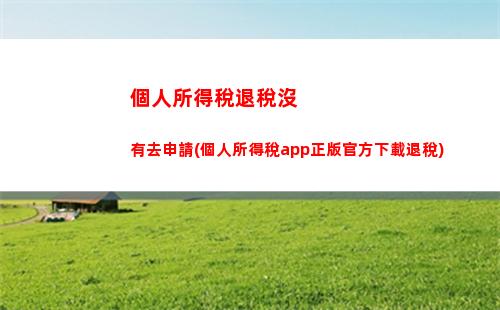 個人所得稅扣繳明細表(個人所得稅扣繳明細表哪個是扣個稅)