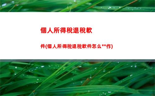 個人所得稅熱線(個人所得稅電話咨詢號碼)