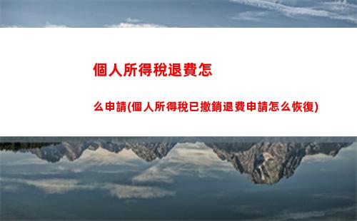 個人所得稅投票(怎樣退稅個人所得稅)