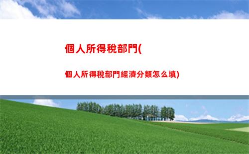個人所得稅報表怎么填(個人所得稅b類報表怎么填)