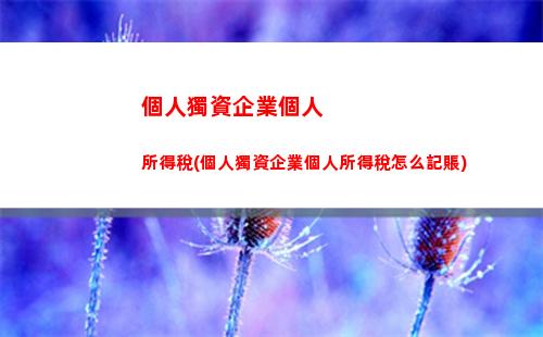 個人單位個人所得稅(個人所得稅補交是單位還是個人)