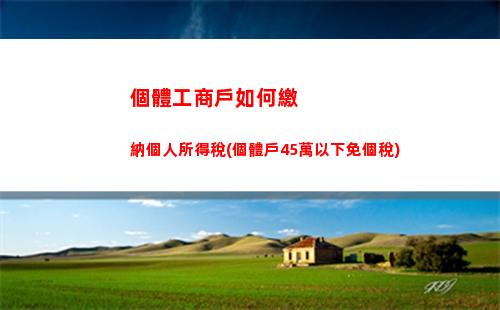 個人所得稅救助(個人所得稅虛報大病救助)