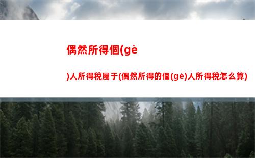 個(gè)人所得稅白領(lǐng)