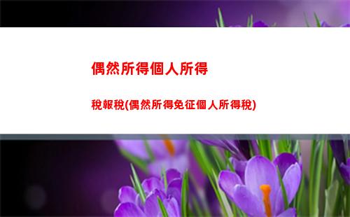 企業個人所得稅稅率表(私人企業個人所得稅稅率表)