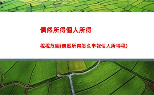 偶然所得稅與個人所得稅(個人所得稅和個人偶然所得稅)
