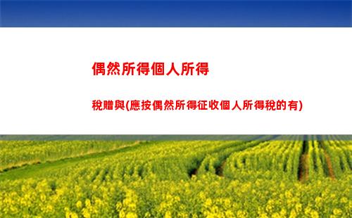 個人所得稅段位