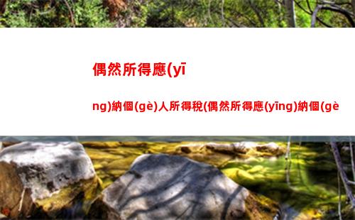 獨(dú)資企業(yè)的個(gè)人所得稅(獨(dú)資企業(yè)的個(gè)人所得稅的計(jì)算方法)