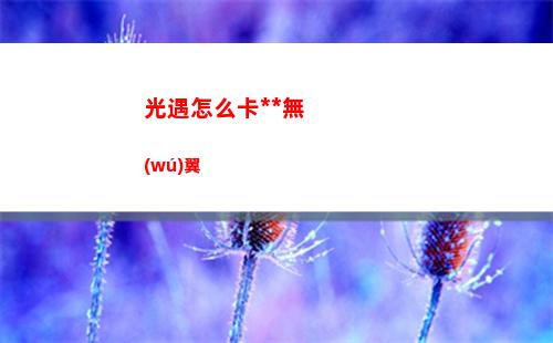 光遇怎么卡永久無(wú)翼