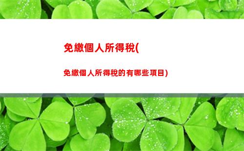 個人所得稅邊際(個人所得稅邊際稅)