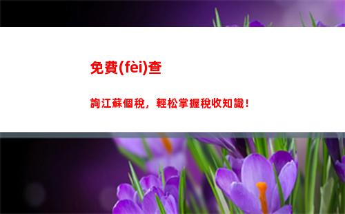 輕松搞懂個稅繳納查詢！快速查詢、便捷繳納，讓你的稅務(wù)生活更簡單！