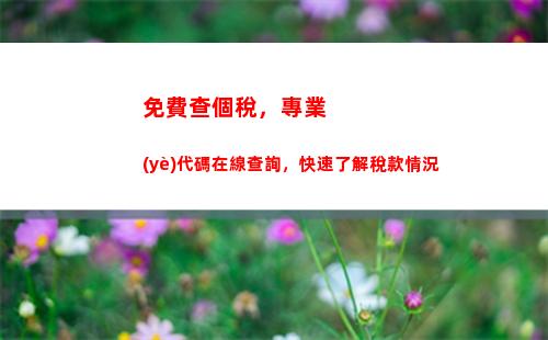看股市賺錢不用擔心稅！個人所得稅查詢教程來了！