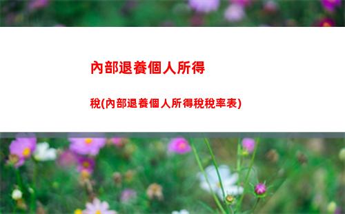 個人所得稅九項所得(個人所得稅的九項應稅所得包括哪些)