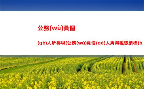 美國(guó)個(gè)人所得稅股息所得稅(中國(guó)居民取得美國(guó)股息所得稅)