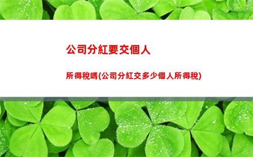 萬工資交多少個人所得稅(1萬工資交多少個人所得稅)"