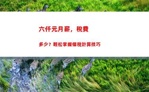 個人所得稅國籍(個人所得稅國籍選不了)