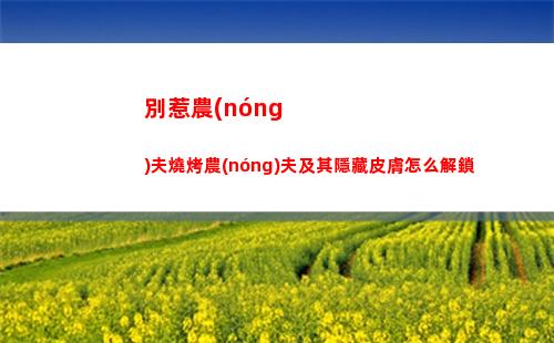 百變大偵探命運(yùn)的贈(zèng)禮新手攻略