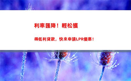 優惠利率來襲！抓住lpr變更日，輕松享受實惠！