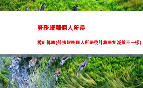 讓你的錢包更豐盈！個人所得稅計算公式全解析