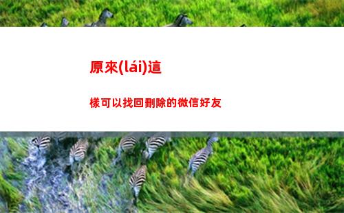 原來(lái)這樣可以找回刪除的微信好友(這樣找回原來(lái)的微信)