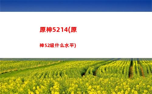 原神本子晚安原神