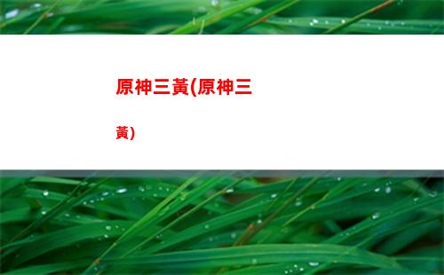 原神全法隊(duì)(原神法隊(duì)cp)