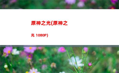 原神總裁(原神總裁劉偉是哪里人)