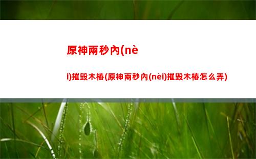 原神雷神隊(原神雷神隊伍循環(huán)輸出手法)