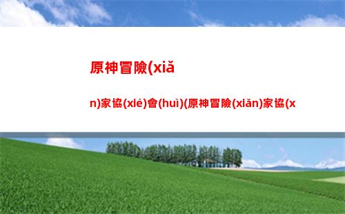 原神七神城(原神七神的合照)