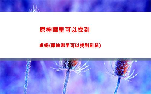 原神納塔(原神納塔角色)