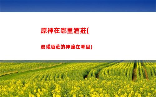 原神怎么抽卡片(原神卡片怎么分等級)
