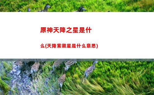 原神所有的五星裝備(原神五星裝備怎么獲得)