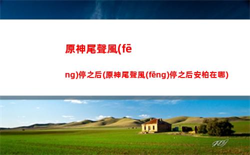 原神溫迪的用法(原神肥料的用法)