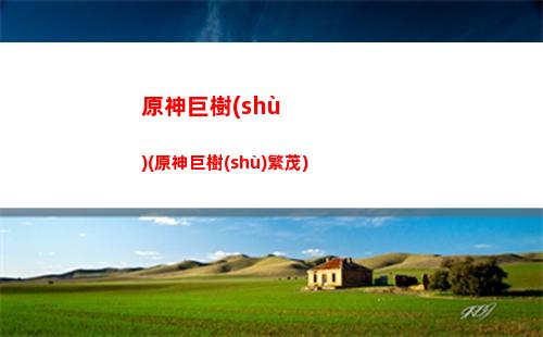 原神看不(原神看不見(jiàn)血條)
