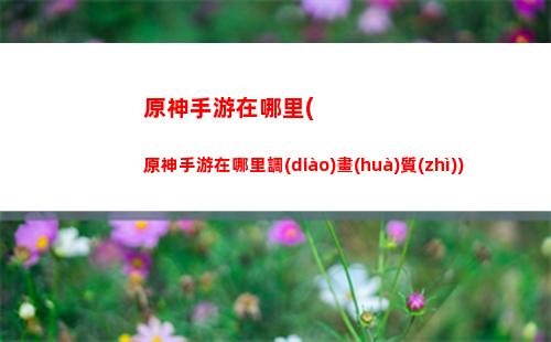 原神手游黑屏(英雄聯(lián)盟手游黑屏)