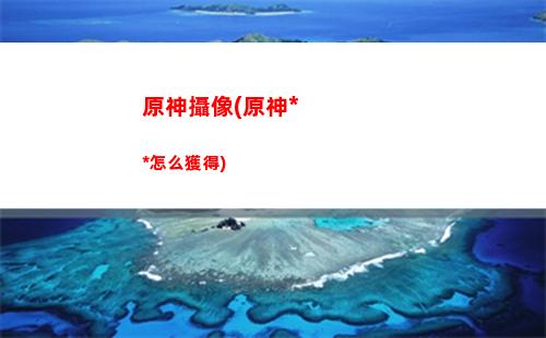 原神琴一測(為什么都用原神測手機)