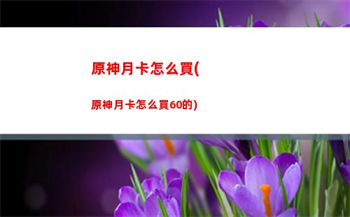 原神怎么快速得禽肉(原神食物怎么快速獲得)