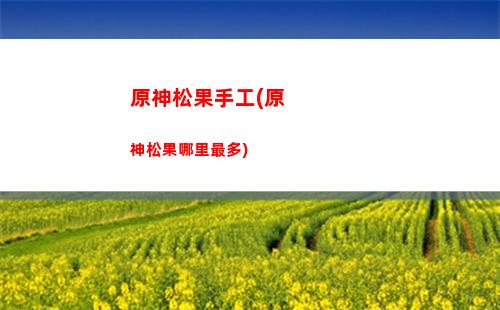 原神時長(原神時長怎么看)