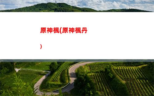 原神斷網玩(為什么一打開原神就斷網)