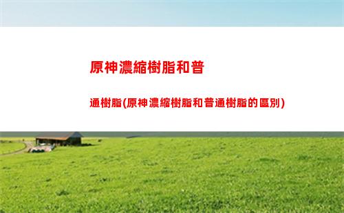 原神能聯機么(原神能聯機做任務嗎)