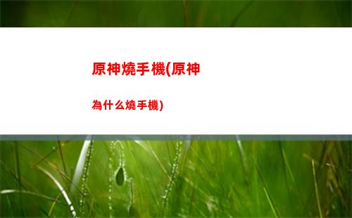 原神琴風傷(原神琴風傷杯還是攻擊)