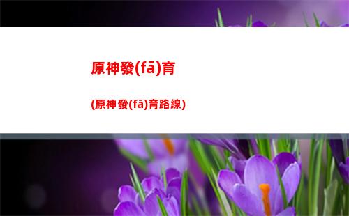 原神發(fā)票(原神發(fā)票退款)