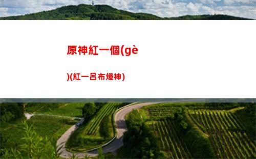 原神號(hào)皇女(原神皇女副c堆什么屬性)