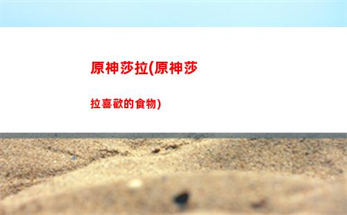 原神肉商人(原神商人大全)