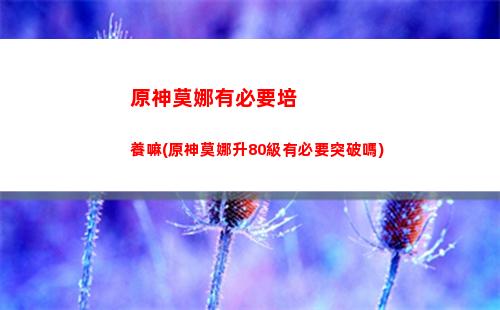 原神那個國家的游戲(原神哪個國家出產的游戲)