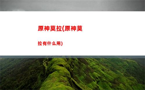原神米哈社(原神米哈社如何賬號登錄)