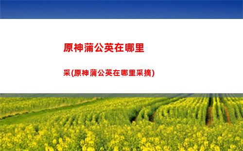 原神七大城(原神七大城背景音樂歌名)