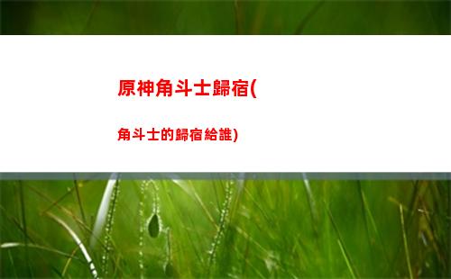 鹽中之地原神