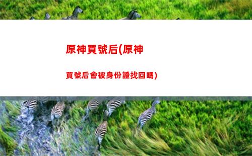 疑云原神(神都疑云)
