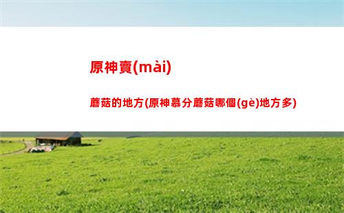翼神原車(chē)?yán)?翼神原車(chē)?yán)炔蹇谑秦?fù)極還是正極)
