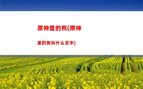 原神角色怎么升級技能(原神角色升級技能材料)